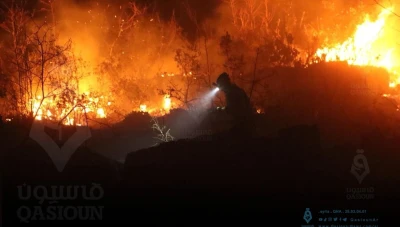 الخوذ البيضاء تتصدى لـ22 حريقاً جديداً في سوريا وسط تحذيرات من موجة حرائق صيفية تهدد الأمن الغذائي