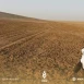 تقرير أممي يحذر من التهديدات المتزايدة لتغيير المناخ في سوريا