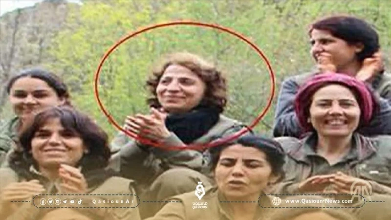 تعرّف على